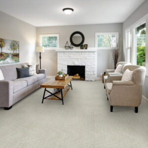 Carpet flooring | CarpetsPlus COLORTILE of Hutchinson