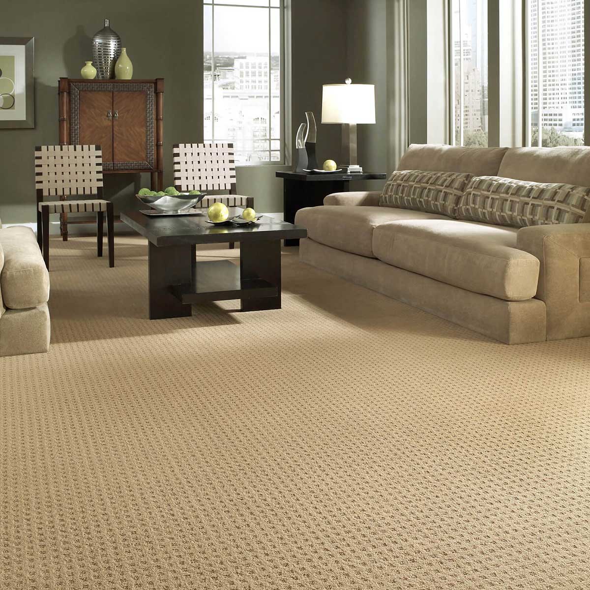 Living room Carpet | CarpetsPlus COLORTILE of Hutchinson
