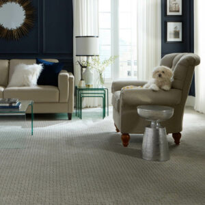 Puppy on couch | CarpetsPlus COLORTILE of Hutchinson