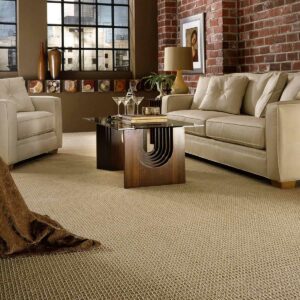 Living room Carpet flooring | CarpetsPlus COLORTILE of Hutchinson