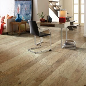 Hardwood flooring | CarpetsPlus COLORTILE of Hutchinson