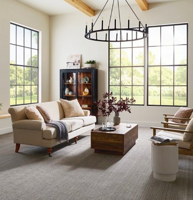Living room Carpet | CarpetsPlus COLORTILE of Hutchinson