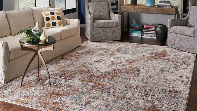 Area Rug for living room | CarpetsPlus COLORTILE of Hutchinson