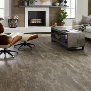 Vinyl flooring for living room | CarpetsPlus COLORTILE of Hutchinson
