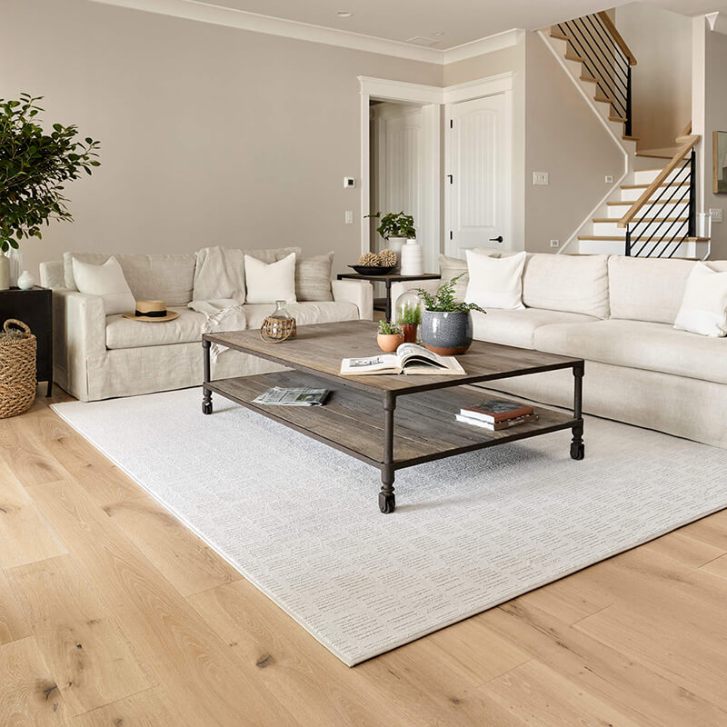 Living Area Rug | CarpetsPlus COLORTILE of Hutchinson